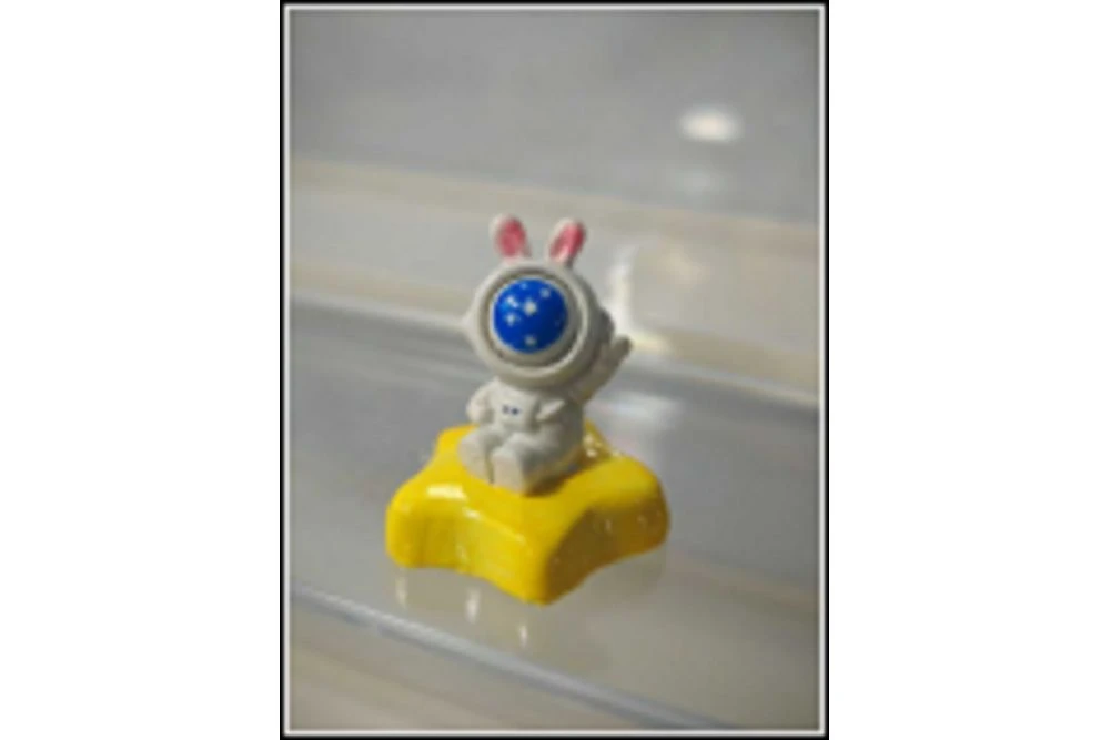 product-1000-667 product-1000-667